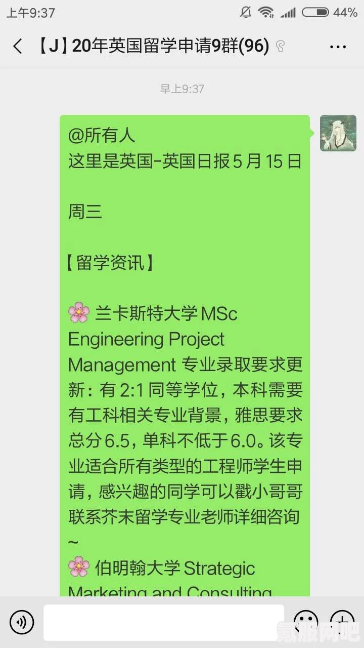 师父线索深度解析，攻略全收录与问答宝典