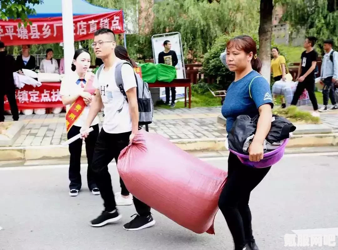 以闪亮之名萌新入门攻略