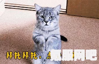 微信钱包密码锁设置方法详解