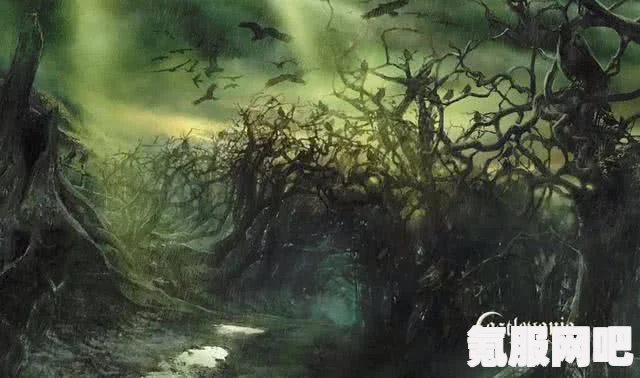 与异世界美少女相伴的冒险之旅，动漫深度解析