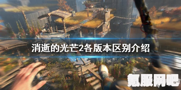 消逝的光芒2联机踢人方法详解