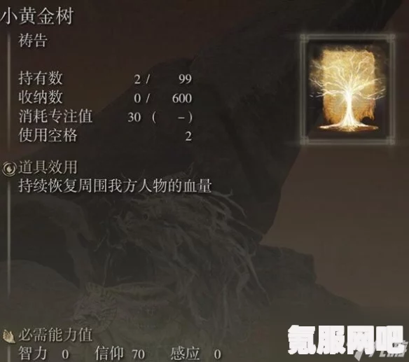 艾尔登法环DLC新增祷告获取攻略，黄金树幽影祷告收集指南
