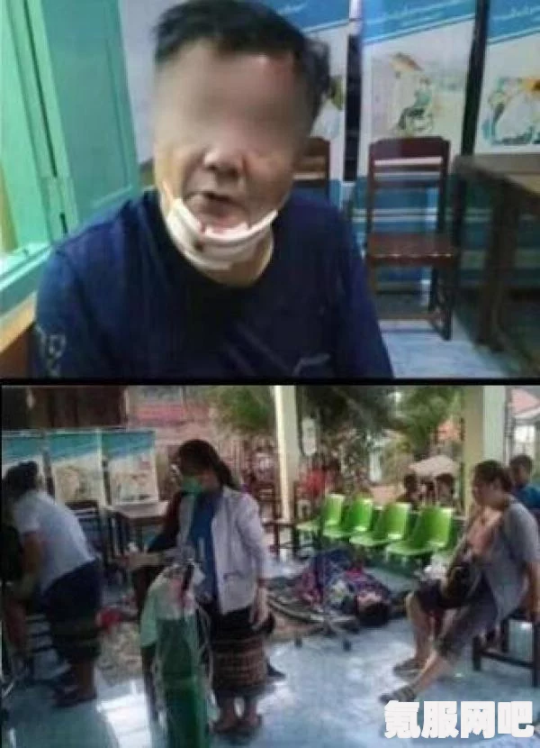 三国志战棋版徐遮阵容搭配介绍