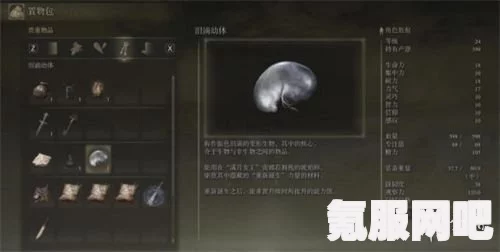 艾尔登法环洗点攻略详解及常见问题解答