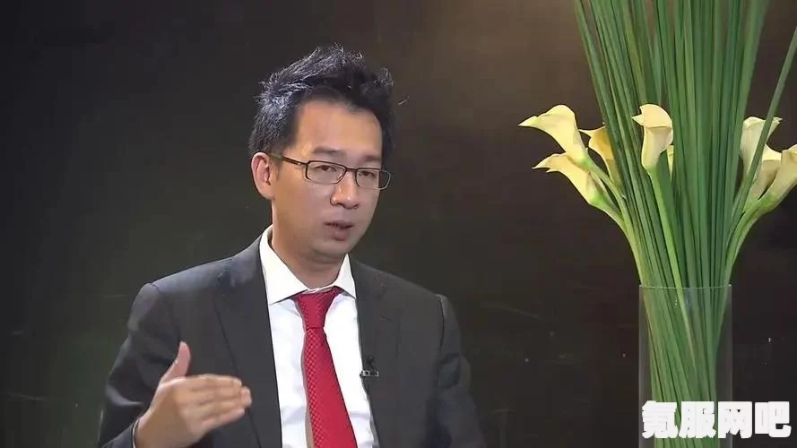 凤凰游戏购买游戏的风险与体验探讨