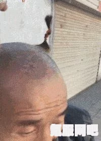 笑发财了背后的含义与梗的起源