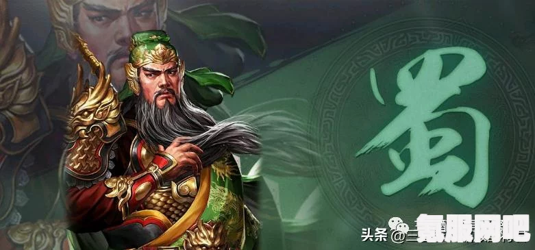 三国志战棋版武将库查看攻略及常见问题解答