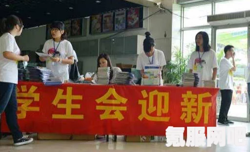 师父架式值的作用详解及其应用重要性