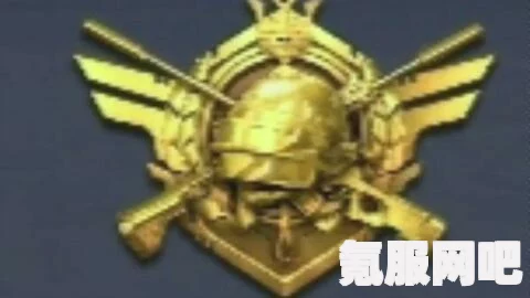 和平精英鎏金朋克的魅力与价格解析