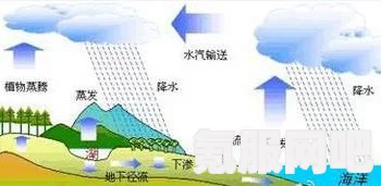 环境利用机制深度解析，揭秘师父环境利用之道