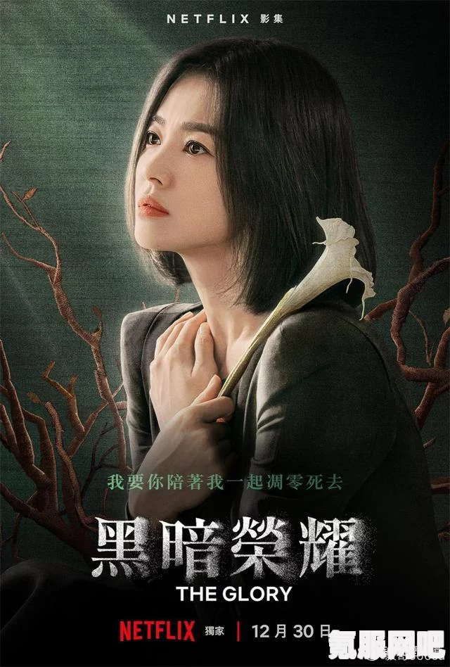 黑暗荣耀2高清中文免费在线观看指南及问答环节
