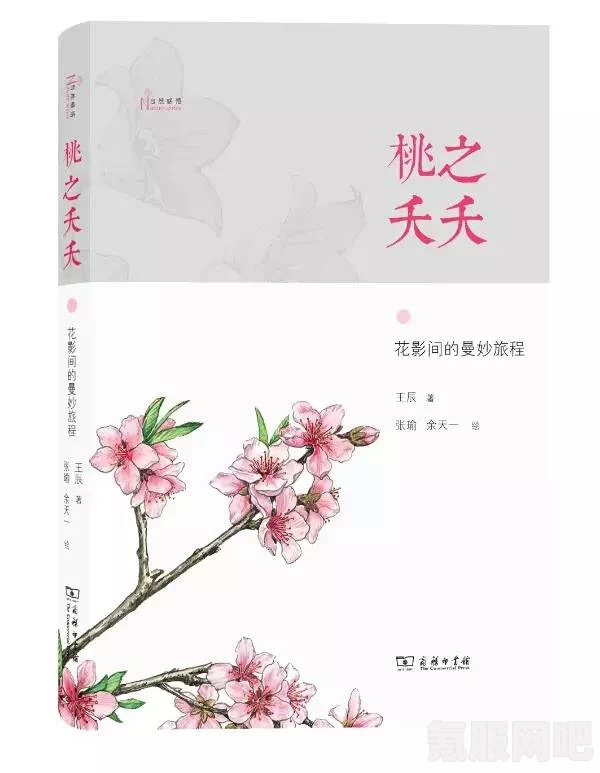 恋与深空，祁煜的以花之名，情感与思念的交织