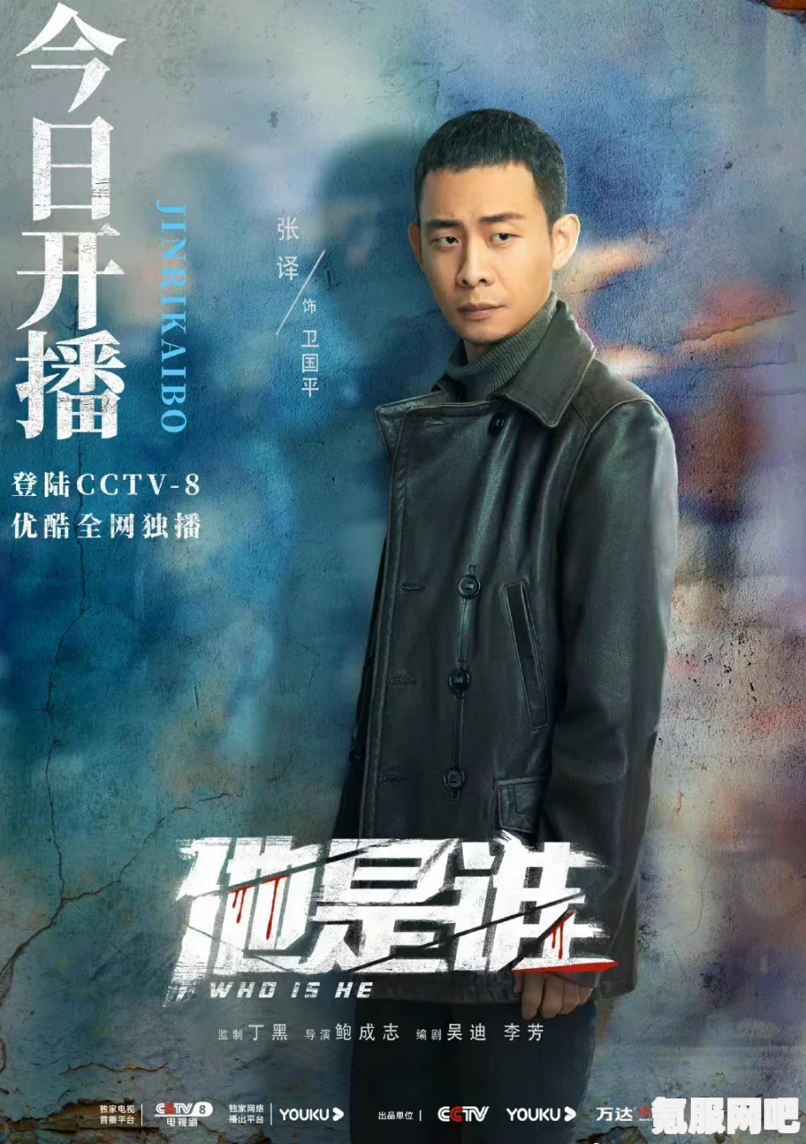 他是谁？电视剧更新时间揭秘及追剧指南