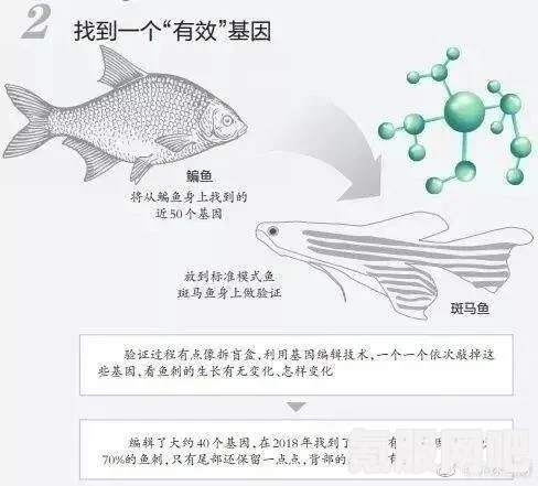 潜渊症基因改造方法详解，如何改造基因以提升生存能力？
