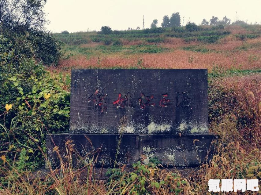 阴阳师泉涌财盈活动详解与玩法指南