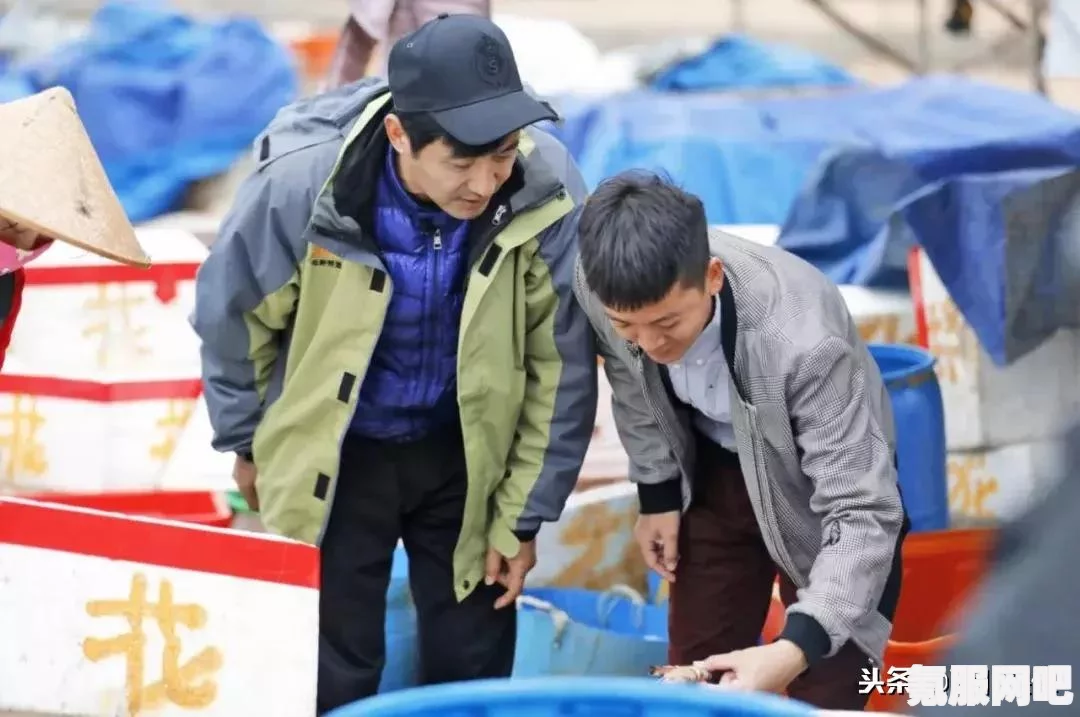 王者荣耀小虎集市代码分享，版本2.8特色解析与代码一览