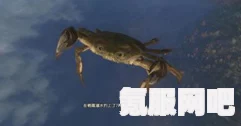古剑奇谭3，银鳗的获取方法与钓鱼地点指南