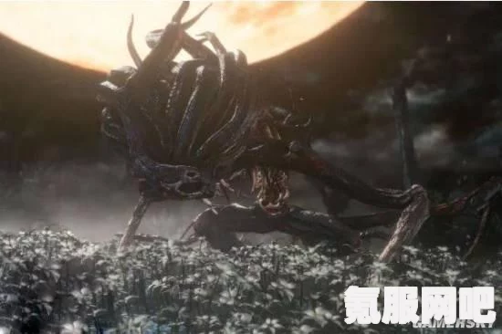 血源诅咒宇宙之女位置攻略及问答分享