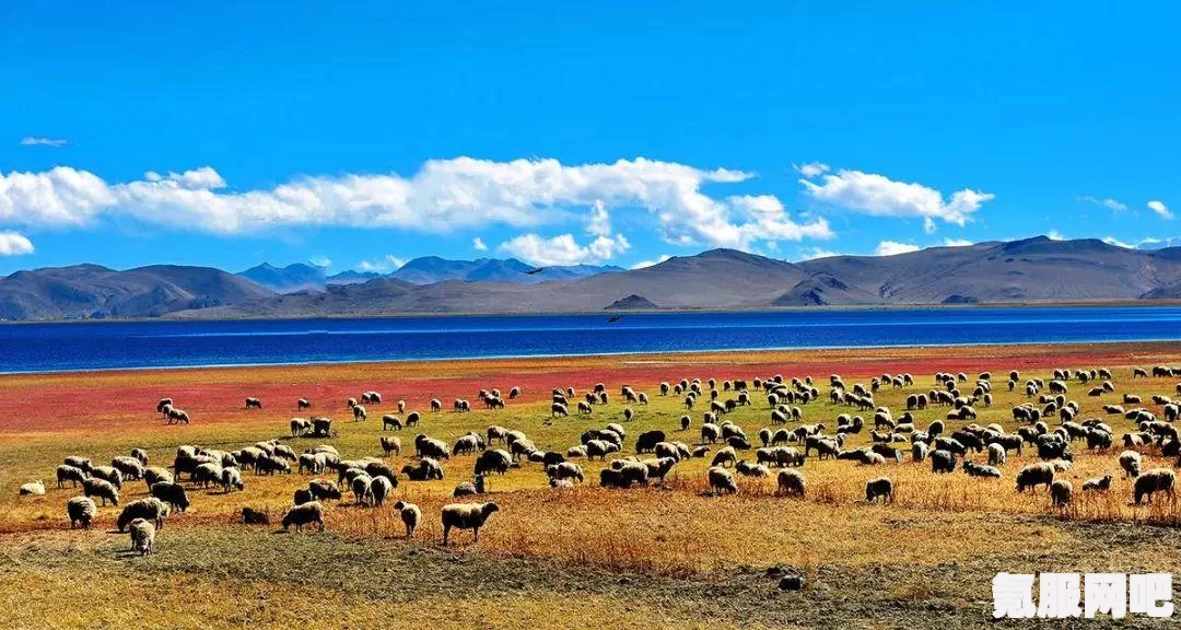 以闪亮之名，碧波翩游与泡沫繁星的独特玩法