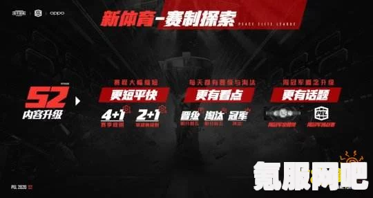 和平精英战队勋章获得攻略，一步步解锁荣誉勋章