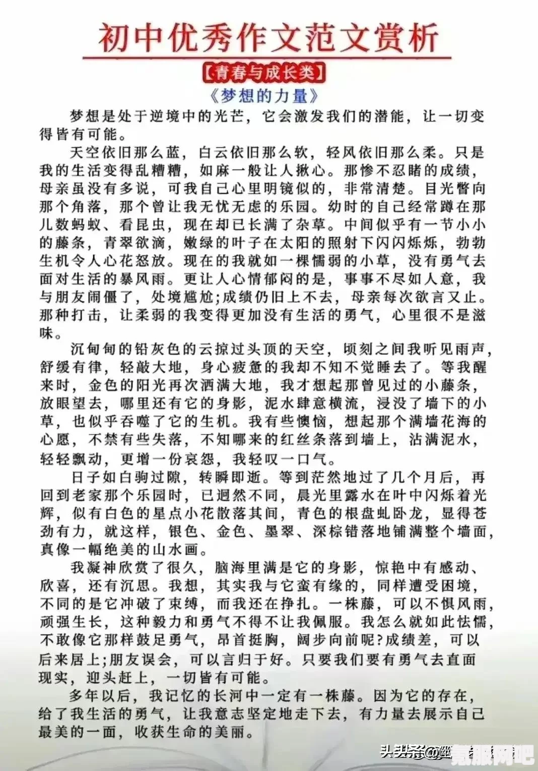 2024年全国高考作文题目大全及深度解析