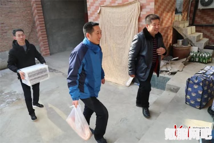 诺亚之心手游升级攻略，快速进阶指南