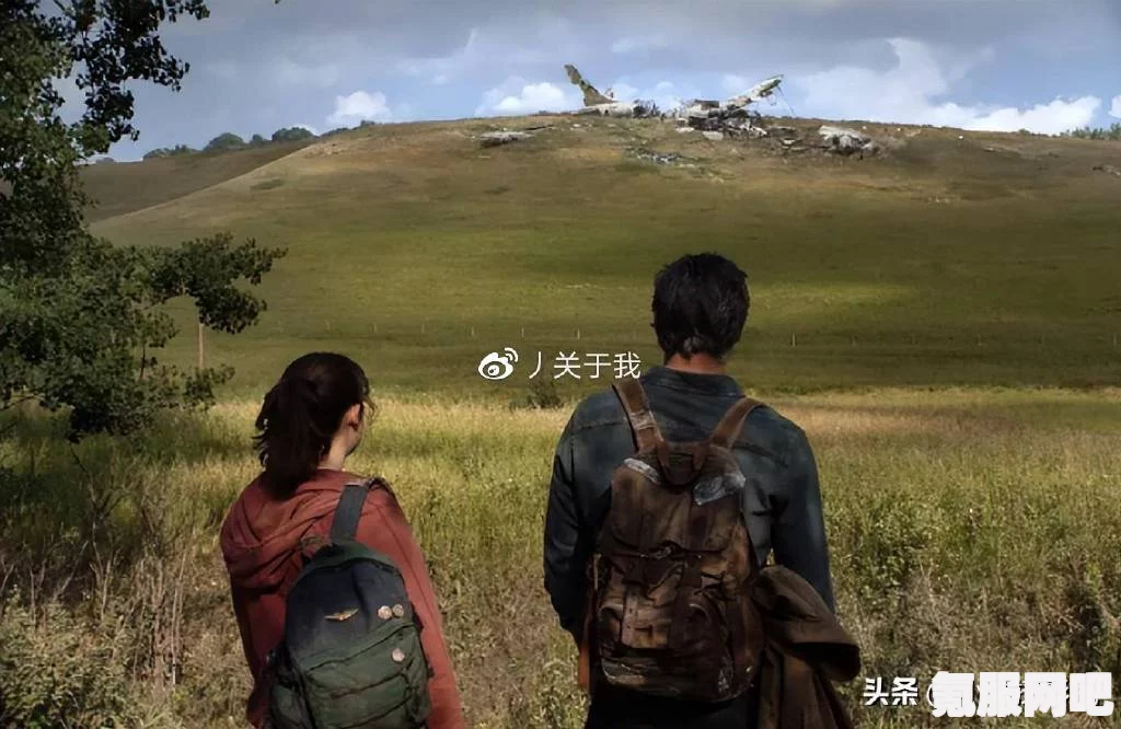 最后生还者真人剧第九集在线观看指南及问答环节