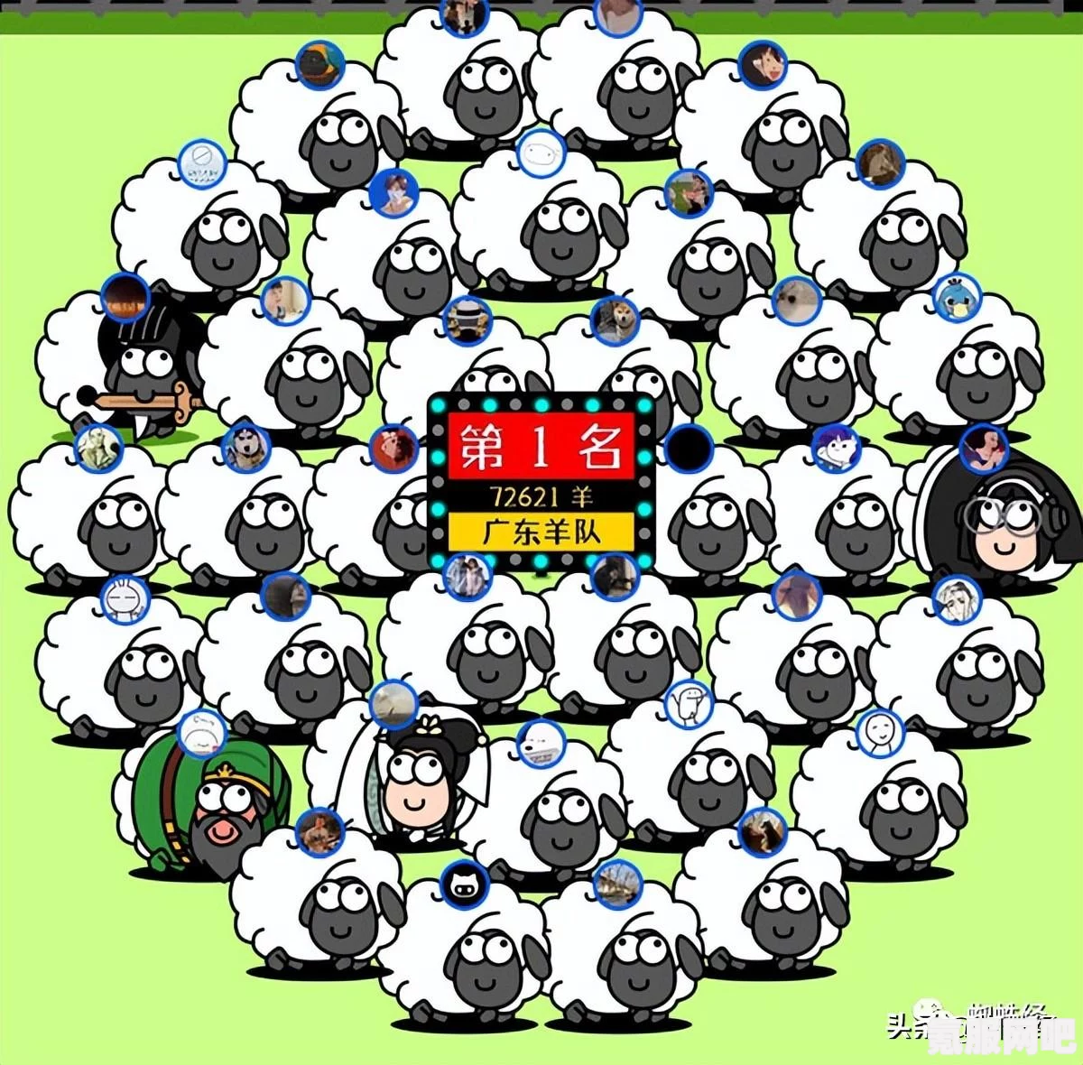 羊了个羊3.13关卡攻略，轻松突破，赢得胜利！