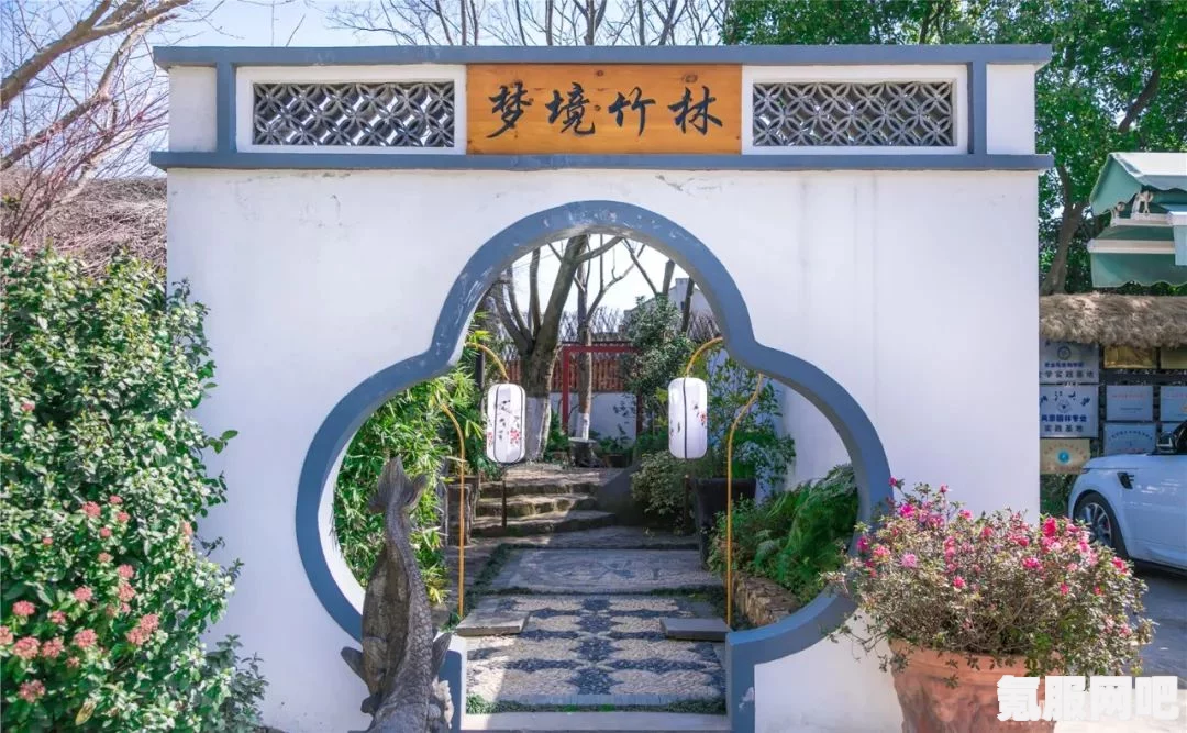 桃源深处的秘密，外婆小花园的布局艺术与葫芦藤架的巧妙设计