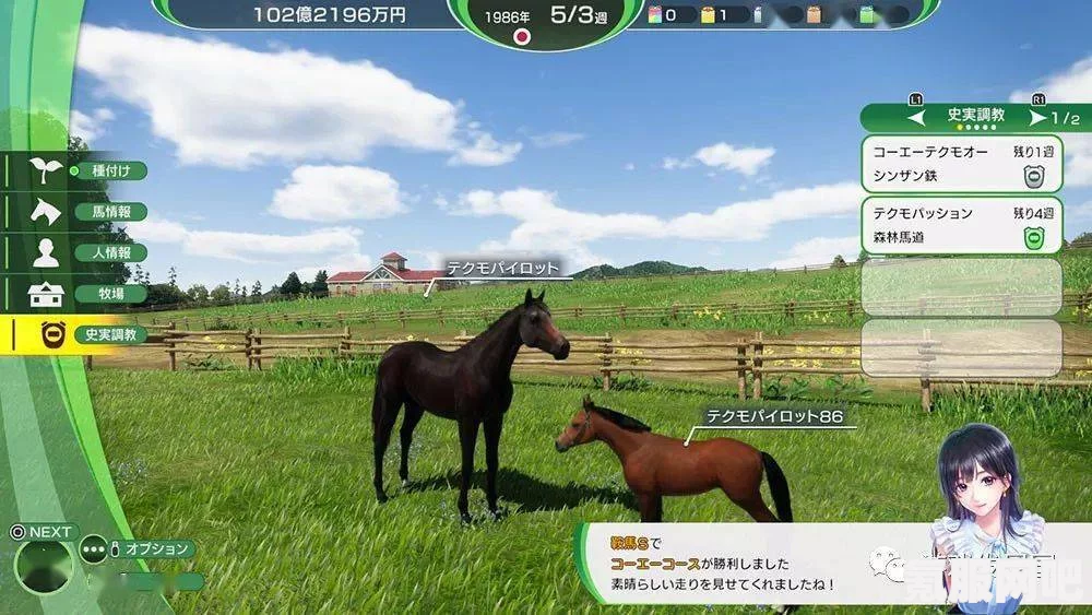 赛马大亨10配置要求介绍，从入门到精通