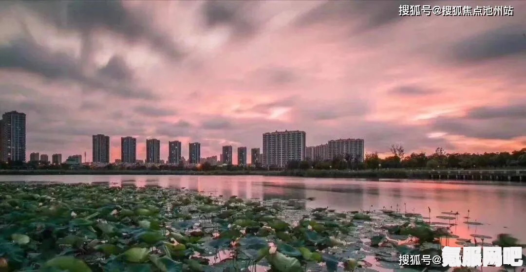 以闪亮之名，Nabati联动活动全面解析与参与指南