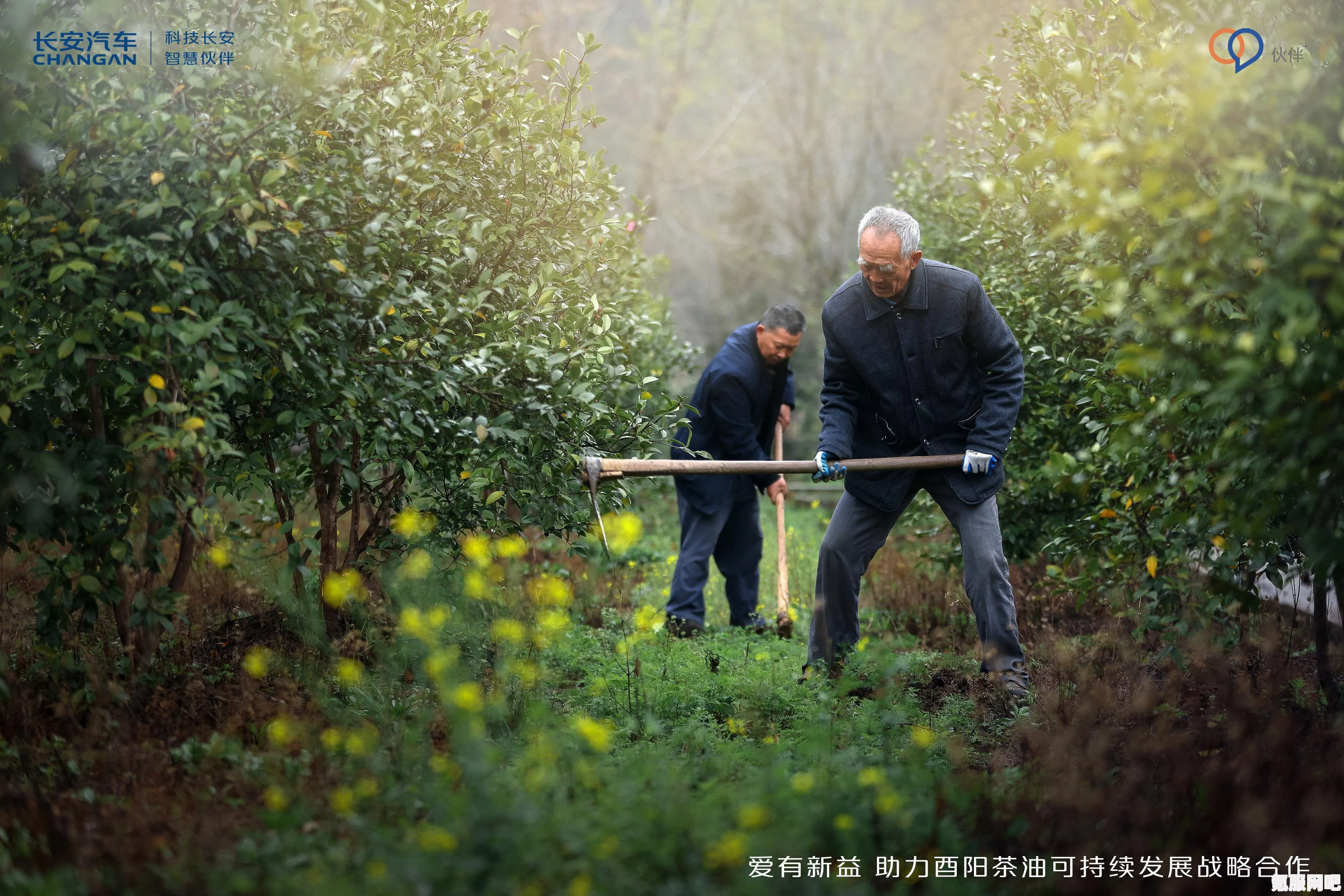 绝区零行前采购网页活动奖励兑换攻略及建议