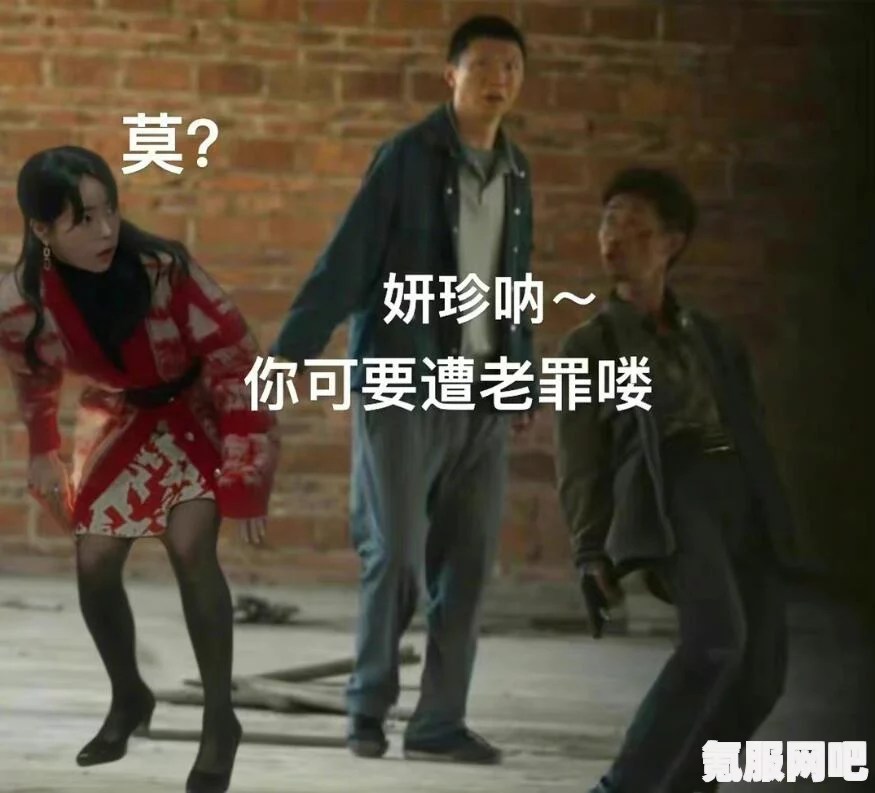 揭秘妍珍疯驴子梗，一场网络狂欢的源头与演变