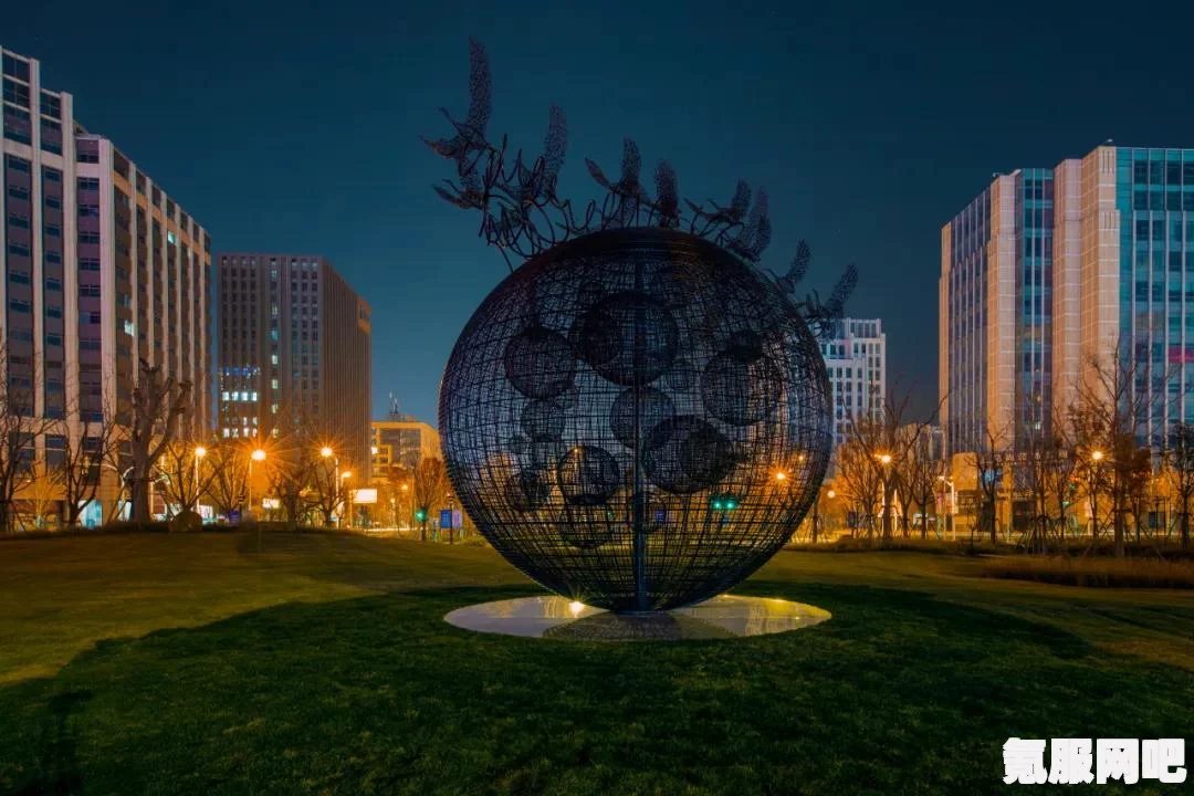 以闪亮之名，喵星探秘与猫咪星宿套装的奇幻之旅