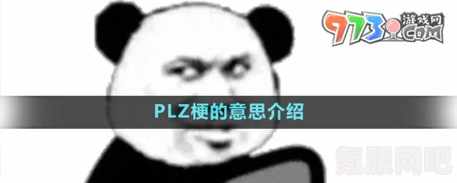 揭秘网络新梗，her name plz背后的含义与来源