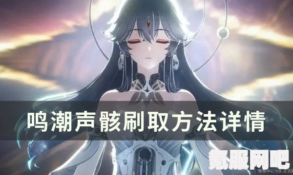 鸣潮，六种异象声骸获取方法与种类解析