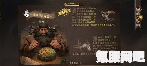 哈利波特魔法觉醒宠物共鸣系统使用方法详解