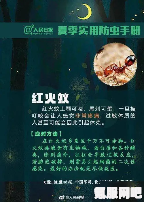 鸣潮飞檐同好会活动指南与玩法介绍