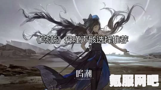 鸣潮快速刷声骸攻略，实战教程助你轻松提升