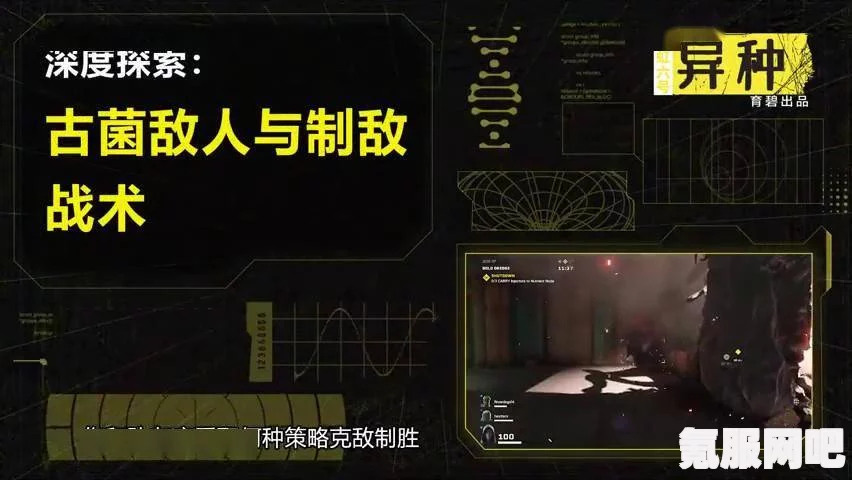 彩虹六号异种SPEAR.308主武器深度解析与参数概览