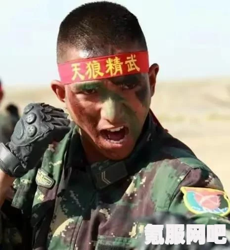 远征军罗马弓箭手技能加点与属性分配全攻略，实战指南与技巧解析