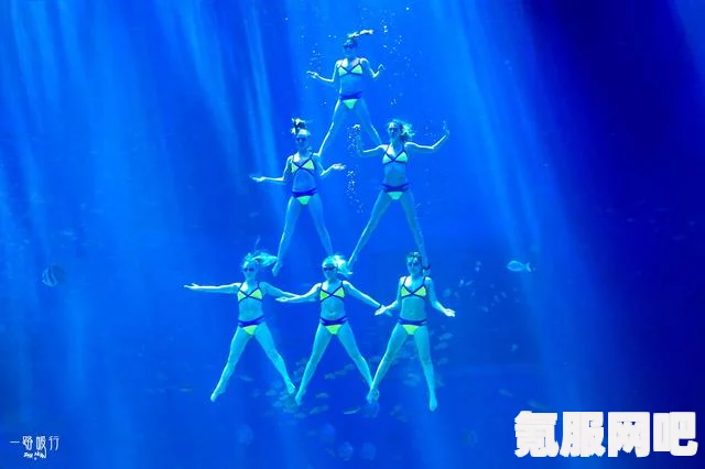 光遇自然日的探索攻略及2024海洋节活动揭秘