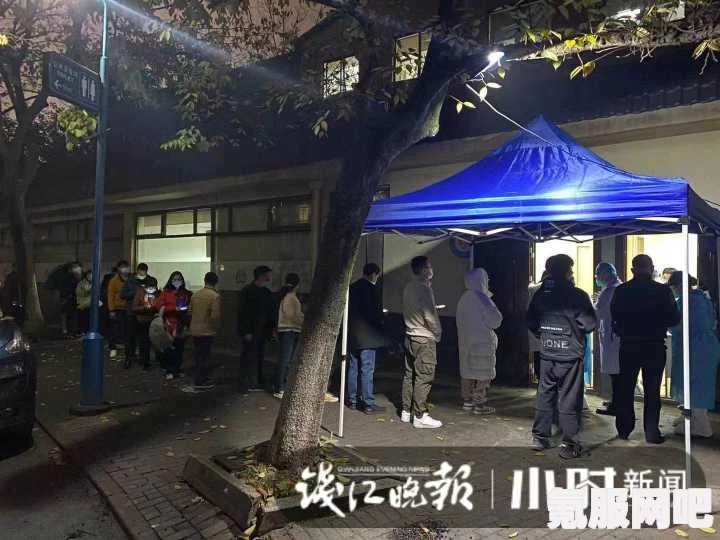 杭州健康码新色彩解读，粉码背后的含义与重要性解析