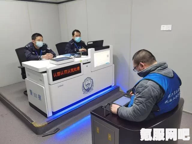 粉码，杭州健康码的新色彩解读