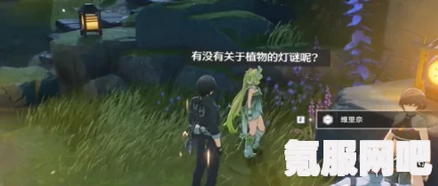 鸣潮维里奈培养攻略及声骸武器阵容推荐