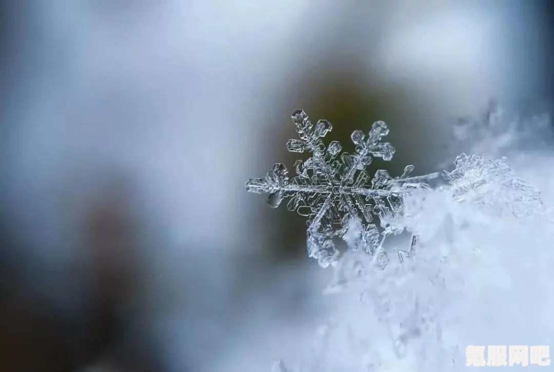 暖雪流派玩法指南与构筑详解