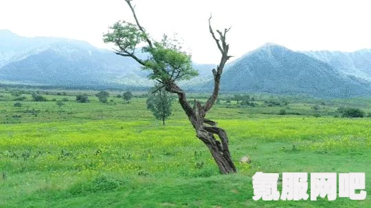 海之呼唤第五章攻略详解，如何顺利过关