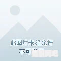 DNF手游角色转职推荐指南，如何选择最佳转职路径