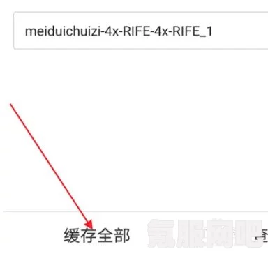 哗哩哗哩缓存视频方法详解