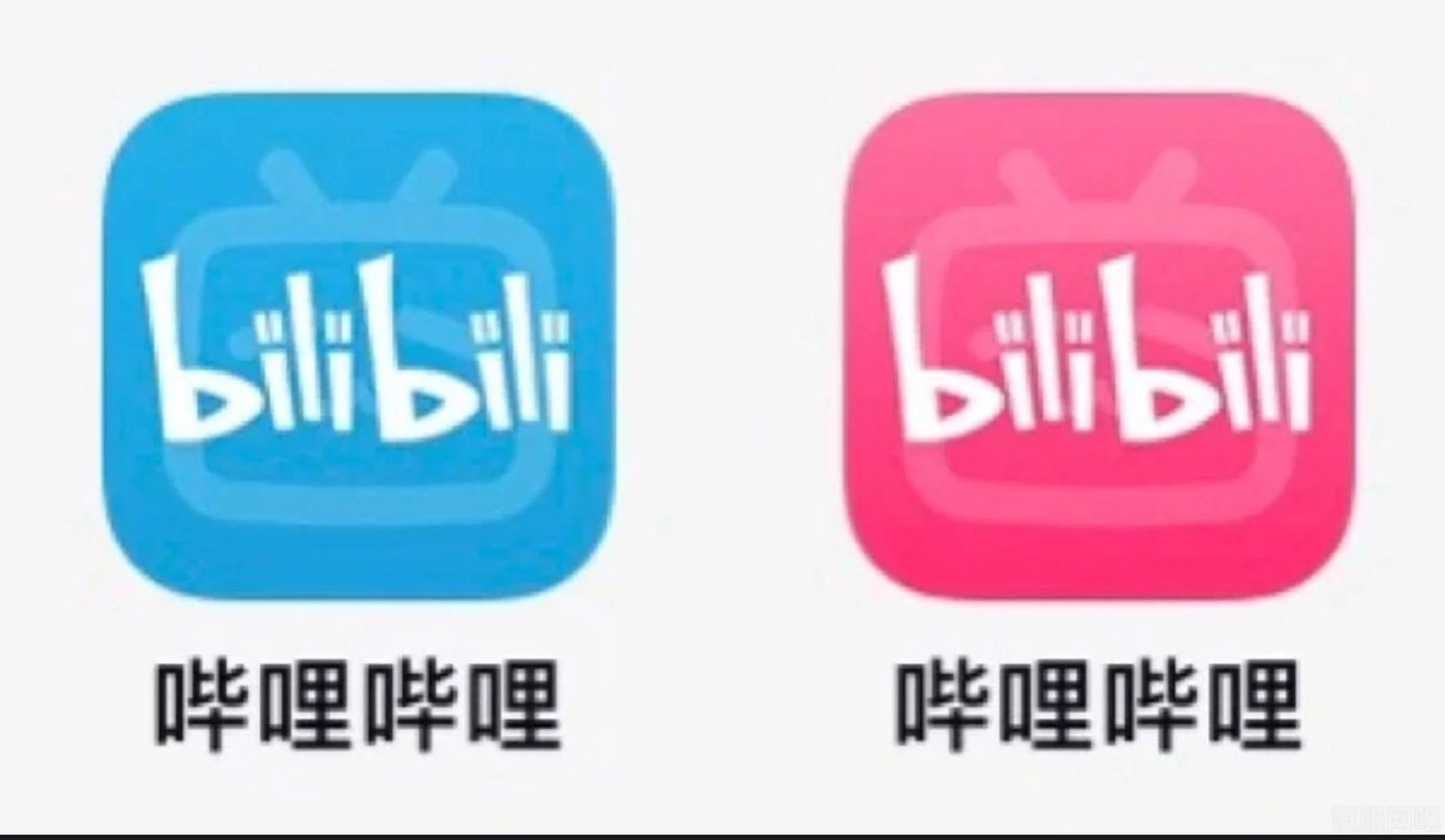 哗哩哗哩HD与哗哩哗哩，应用差异解析及体验区别一览